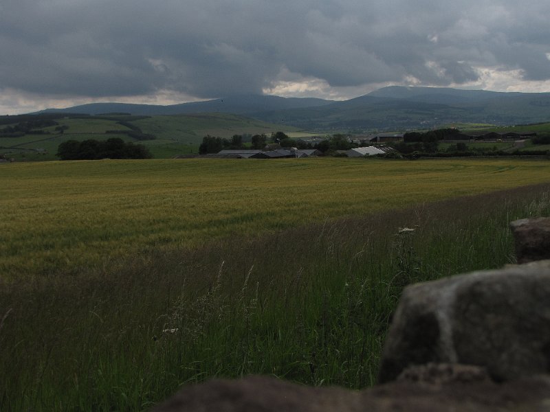 dreigende lucht_cheviots.jpg - En het werd steeds donkerder. Een prachtige lucht boven de Cheviots, maar op een paar spatjes na bleef het wel droog.